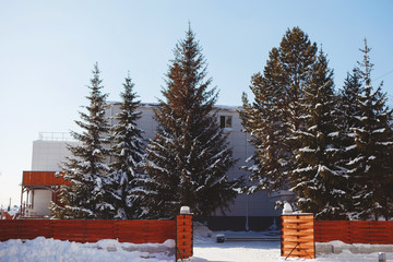 Large, modern house with fluffy spruces in the yard behind a wooden fence. Winter landscape, snow,...