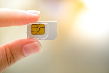 Hand holding white sim card. © tanoy1412