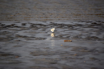 Nordsee - Eindrücke vom Herbst 2018 auf Römö