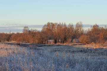 Frosty morning in the late autumn on the meadow.