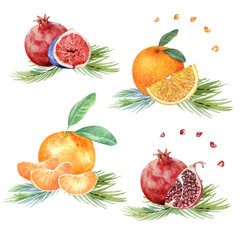 Watercolor fruits christmas 