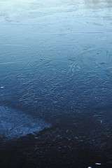 Obraz premium Thin transparent ice on the surface of the reservoir in late autumn