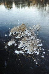 Thin transparent ice on the surface of the reservoir in late autumn