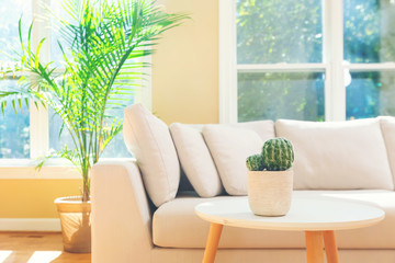 Sectional sofa in a large luxury interior home
