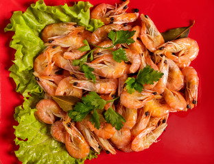 Shrimp and parsley on a red plate. The view from the top.