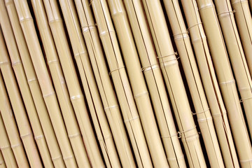Split bamboo together