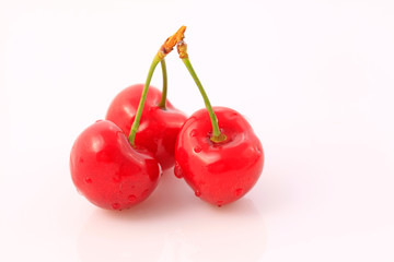 Mature large American cherry on a white background