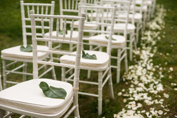 Rows of white chairs