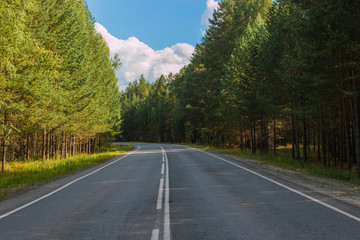 Road through green deep forest in Russia