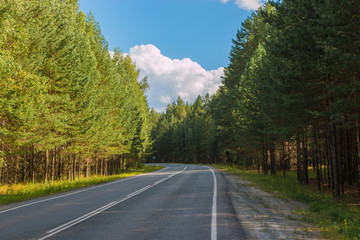 Road through green deep forest in Russia