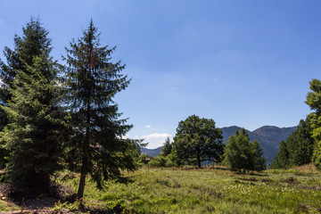 Landscape in Rhodopes