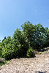 Landscape in Rhodopes