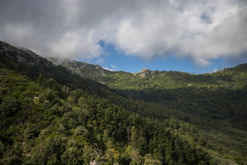 Fototapeta premium Elba