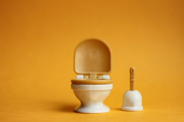 World Toilet Day November 19 is dedicated to public toilets and their maintenance