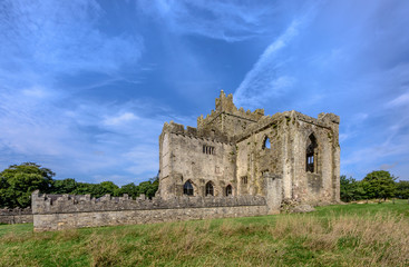 Fototapeta na wymiar Timoleague Abbey, County Cork, Ireland