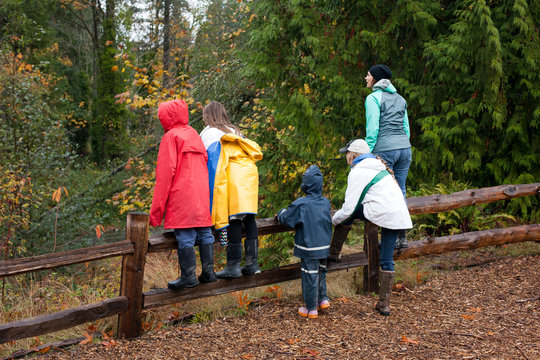 Watching the salmon swim upstream to spawn
