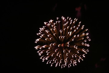 fireworks in the sky