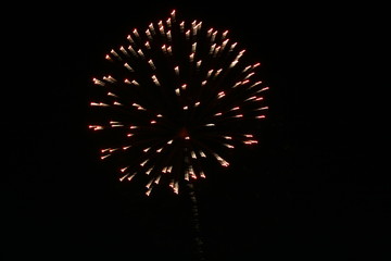 fireworks in the night sky