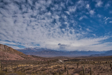 Los Cardones National Park