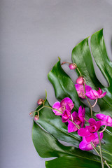 Green tropical leaves with lilac orchids on gray background. Flat lay, top view. Copy space. Blank greeting card for creative work design