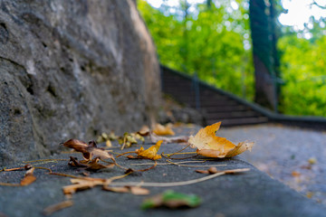 Steinbank im Herbst