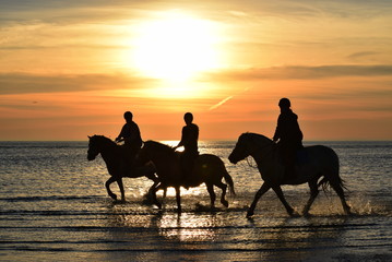 Nordseeküste bei Sonnenuntergang in Sankt Peter Ording im Herbst 2018