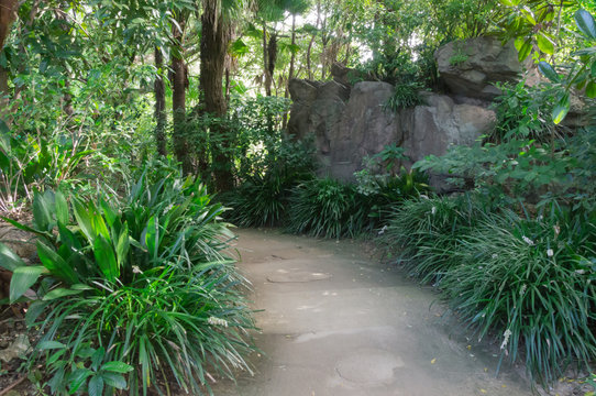 Gravel road of zoo in Osaka,Japan.