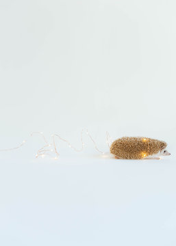 Tiny cute hedgehog surrounded by fairy lights