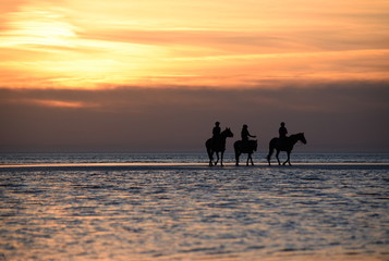 Nordseeküste bei Sonnenuntergang in Sankt Peter Ording im Herbst 2018