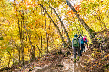 Obraz premium 鮮やかな紅葉の登山道