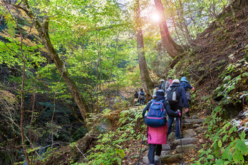 鮮やかな紅葉の登山道