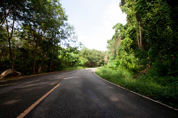 Fototapeta na wymiar Country road forest rubber tree to Ang Kep Nam Huai Hin Dat of Rayong Thailand.