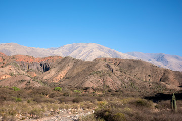 Fototapeta na wymiar Los Cardones National Park