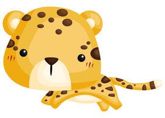 Naklejka premium a vector of a cute leopard
