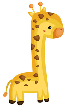 a vector of a cute giraffe