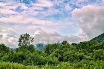 Summer landscape in the mountains with beautiful low clouds