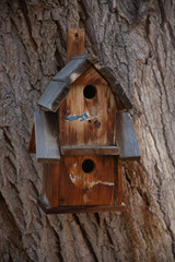 wooden birdhouse on tree
