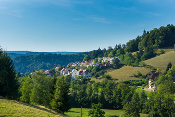 Germany, Houses of black forest village Elzach in beautiful summer light
