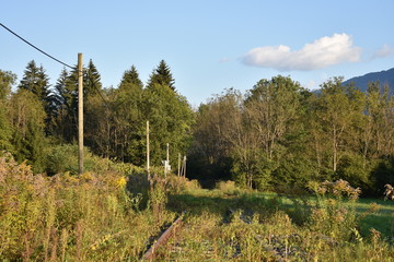 Gleis, Schiene, Schwelle, Normalspur, Holzschwelle, Mutter, Bahnsteig, Weiche, Endstation,...
