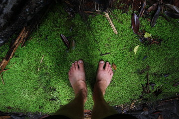 Naked feet in the middle of a jungle
