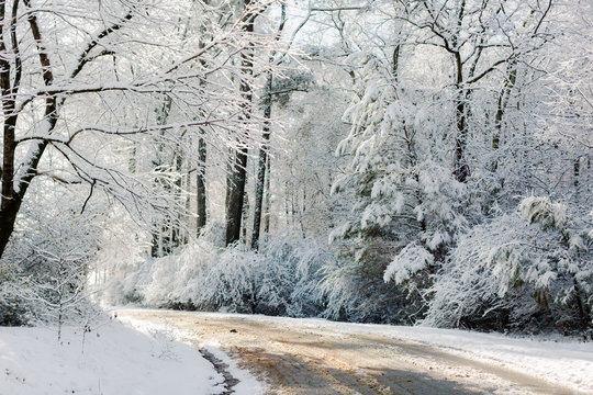 Snow covered road