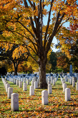 Arlington National Cemetery in late autumn 