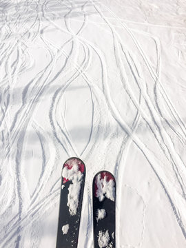 Skis and tracks in snow