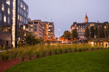 Fototapeta premium Fall season in Mont Royal park in Montreal, Canada