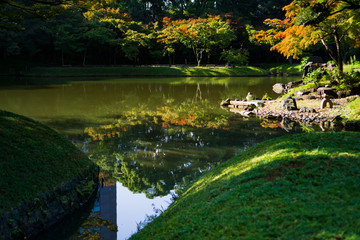Landscape of Japanese garden with beautiful trees and a pond (Koishikawa Korakuen, Tokyo, Japan)