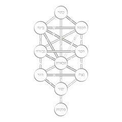 vector icon with tree of life Kabbalah symbol for your design