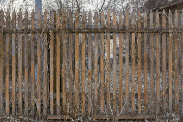 Wooden fence