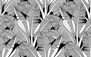 Jungle exotic palm leaves foliage vector seamless pattern. Banana leaf garden background. Tropical bananas wallpaper.