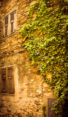 Fototapeta na wymiar Old Italian house with walls covered with plants.