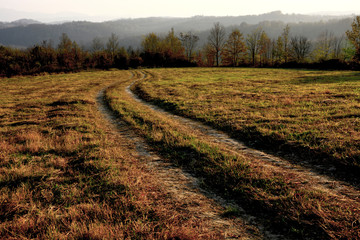 road in the field